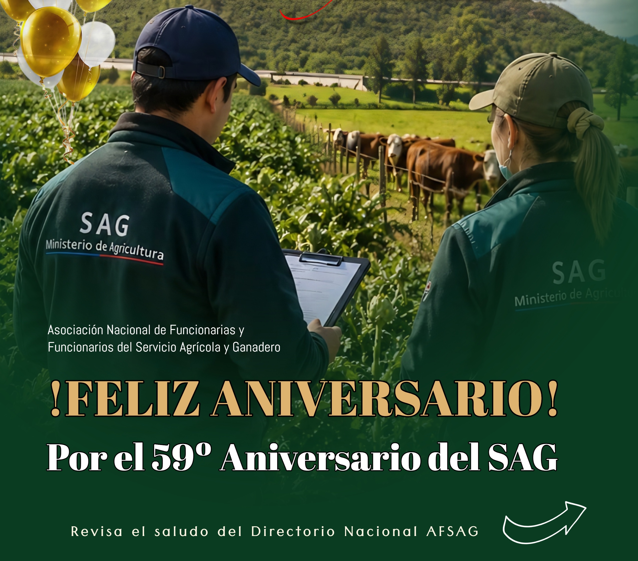 noticia