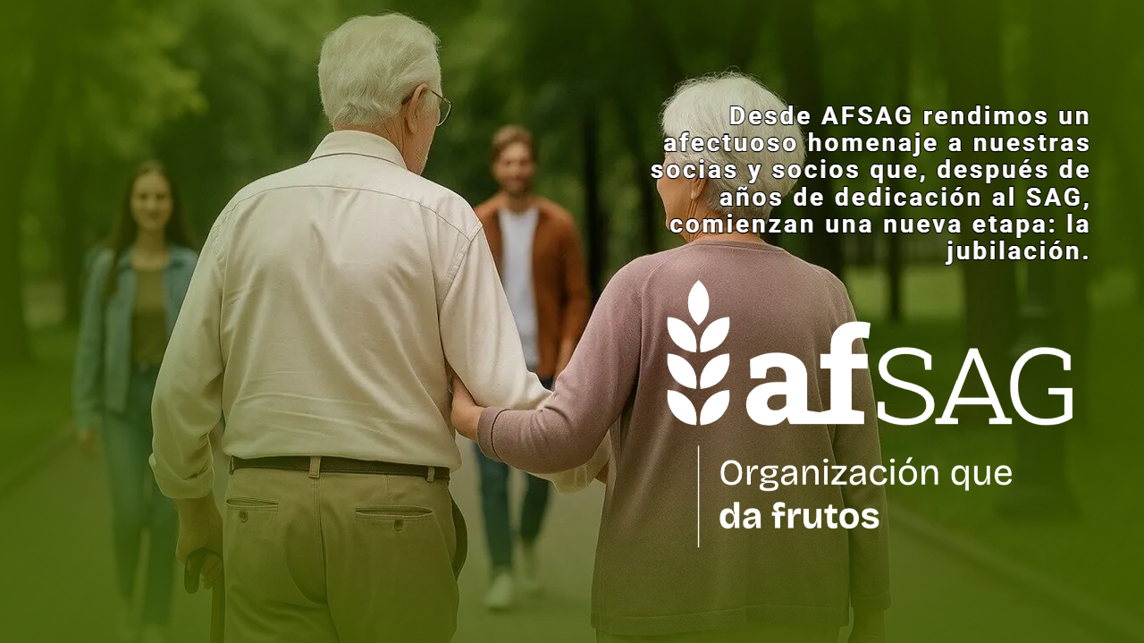 noticia