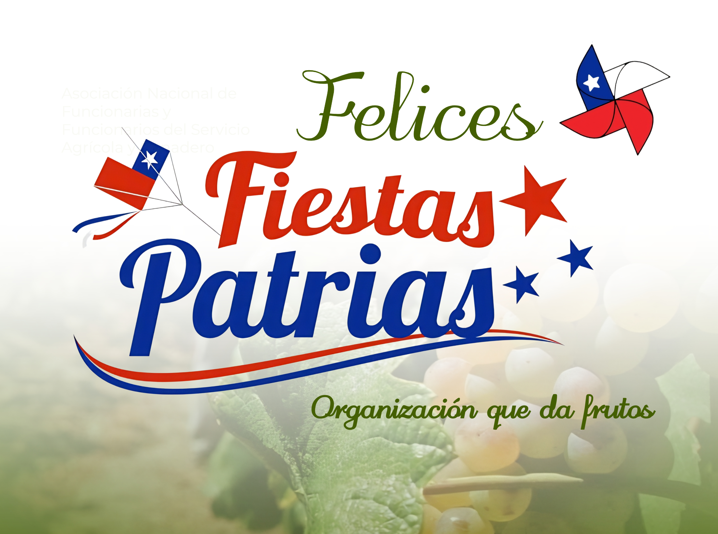 noticia
