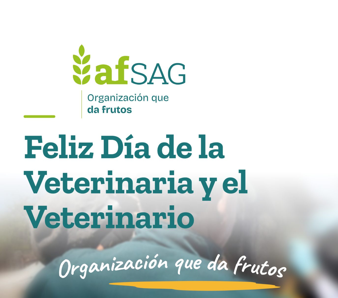 noticia